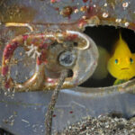 © Brian J. Skerry_300ppi