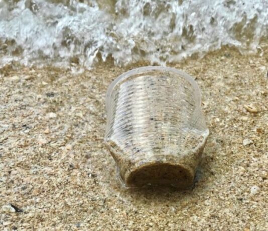 Microplastiche, cosa sono e perché sono pericolose per l’ambiente