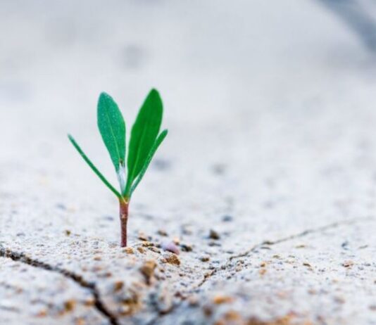 Clima: soluzione può essere sinergia tra adattamento e mitigazione