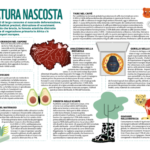 infografica_