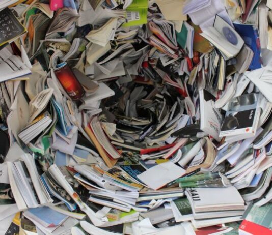 Sostenibilità, come ridurre l’uso della carta in ufficio e salvare l’ambiente