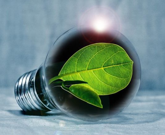 Caro-bollette, i 20 consigli ENEA per risparmiare e aiutare l’ambiente