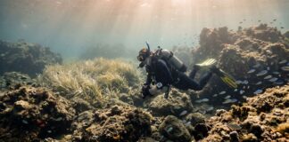 Sommozzatore esplora un fondale marino roccioso con praterie di Posidonia nel Mediterraneo.